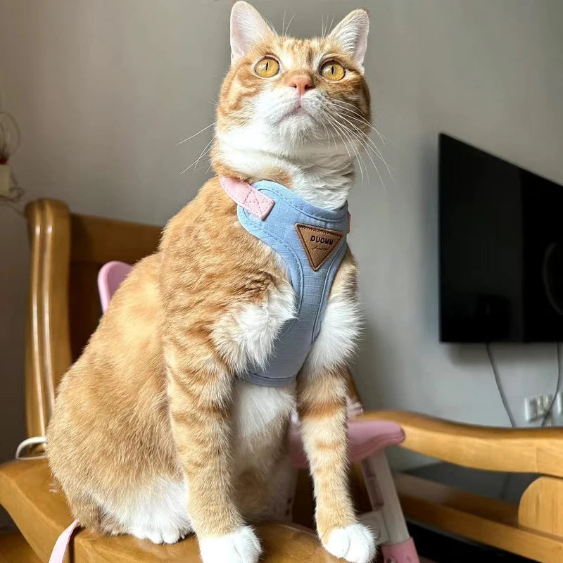 LOSARIS - PfotenFit Geschirr-Set